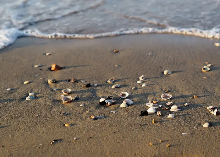 Apartment Colorful Apartment-beahost *